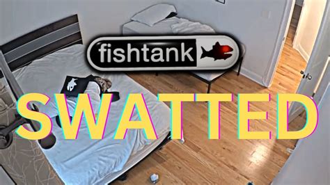 liveFishtank is a streamer house monitored 24/7 & broadcasted live to the world. . Fishtank swatted